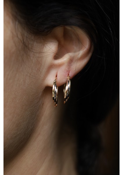 14 Ayar Altın Üç Renkli Iç Içe Halkalar Küpe 2 fırsatları