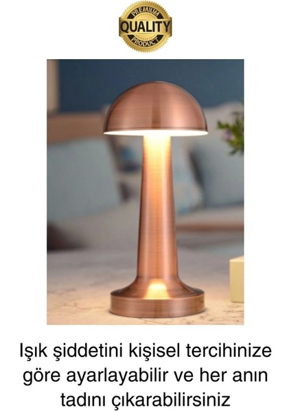 Premium Şarjlı Dokunmatik Masa Lambası 3 Renk Ayarlanabiir Parlaklık Abajur Ambians Dekoratif Klasik modelleri