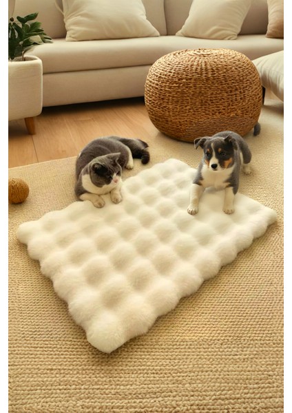 Peluş Yumuşak Yıkanabilir Bubble Kedi Yatağı - Köpek Yatağı Minder Krem