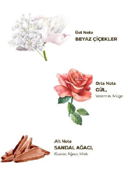 Hatıralar Kolonya 400 ml Pet Şişe - 150 ml Sprey modelleri