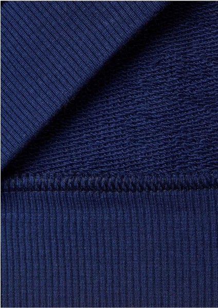 Erkek Mavi Sweatshırt (Model Kodu: 224a3j70g5033 )