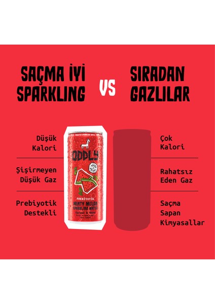Mınty Melon Karpuz Nane Kutu 250 ml x 24 Adet