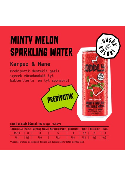 Mınty Melon Karpuz Nane Kutu 250 ml x 24 Adet