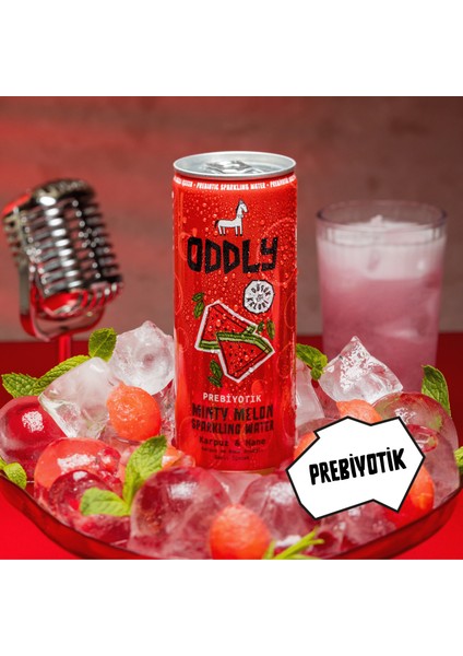 Mınty Melon Karpuz Nane Kutu 250 ml x 24 Adet