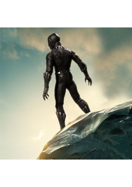 Bir:12 Marvel Avengers Kolektif Kara Panter Süper Kahraman 6.5 (Yurt Dışından) modelleri