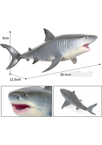 Köpekbalığı Heykelcik-C-Gerçekçi Deniz Hayvanları Megalodon Köpekbalığı Figürleri Aksiyon Figürleri Modeli Koleksiyonu Eğitici Oyuncaklar Çocuklar (Yurt Dışından)
