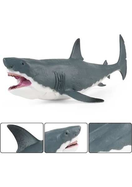 Köpekbalığı Heykelcik-C-Gerçekçi Deniz Hayvanları Megalodon Köpekbalığı Figürleri Aksiyon Figürleri Modeli Koleksiyonu Eğitici Oyuncaklar Çocuklar (Yurt Dışından) indirimleri