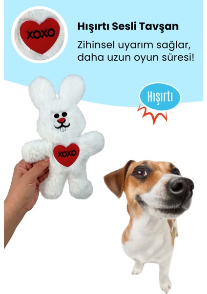 Peluş Köpek Oyuncak Seti Vikvikli Şarap, Hışırtılı Tavşan, Çekiştirmeli Mektup modelleri