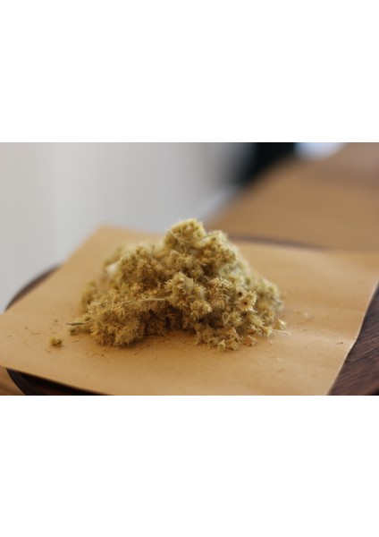 Ölmez Çiçeği 50 gr fiyatları