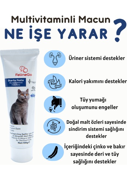 Sterile Paste 100g Kısırlaştırılmış Kediler İçin Multivitaminli Malt Macunu