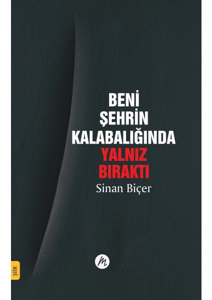 Beni Şehrin Kalabalığında Yalnız Bıraktı | Sinan Biçer | Şiir