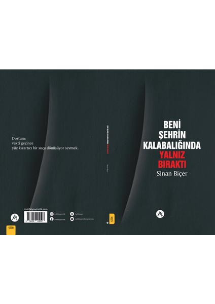 Beni Şehrin Kalabalığında Yalnız Bıraktı | Sinan Biçer | Şiir