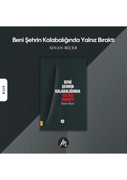 Beni Şehrin Kalabalığında Yalnız Bıraktı | Sinan Biçer | Şiir