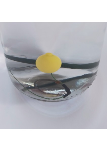 Ikisi Bir Arada Sazan Rig Takımı ve Boncuklu Sazan Çaparisi indirimleri