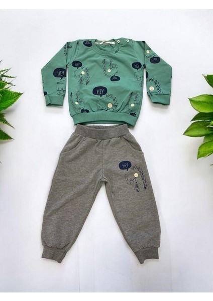Erkek Bebek Dinazor Baskılı Pamuklu Eşofman Takım fiyatları
