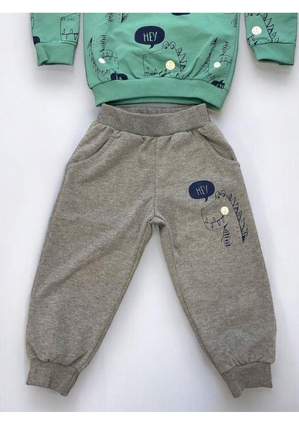Erkek Bebek Dinazor Baskılı Pamuklu Eşofman Takım fırsatları