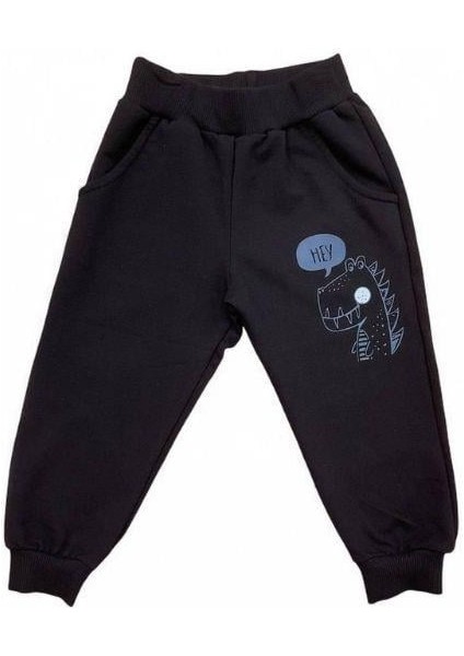 Erkek Bebek Dinazor Baskılı Pamuklu Eşofman Takım indirimleri