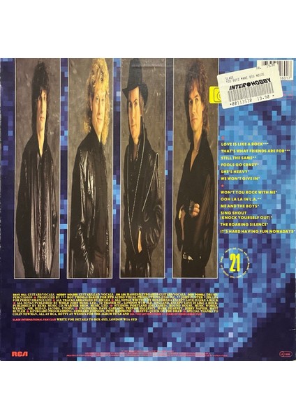 Slade You Bozy Make Big Noize Lp Plak fiyatları