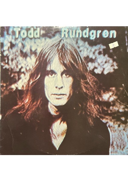 Todd Rundgren Lp Plak