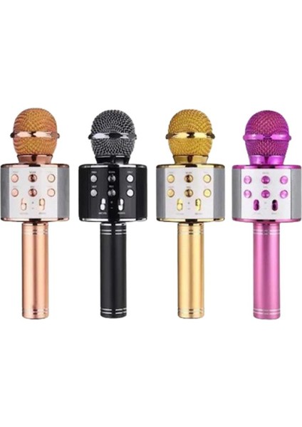 Torima WS-858 Ses Değiştirmeli Karaoke Mikrofon