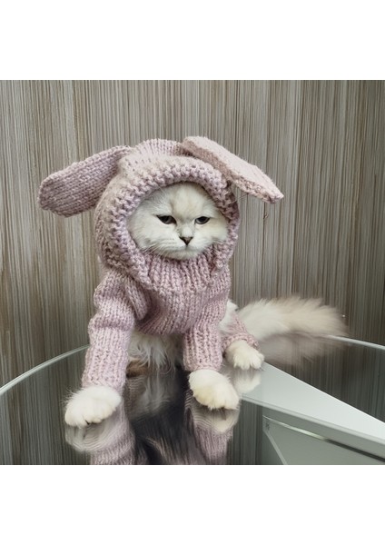 Kedi Köpek için Lila Işıltılı Tavşan Kostümlü Tulum fiyatları