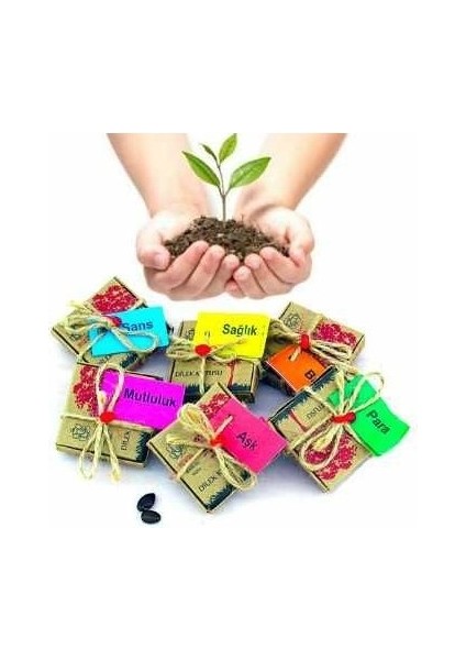 Dilek Tohumları - Sağlık fiyatları