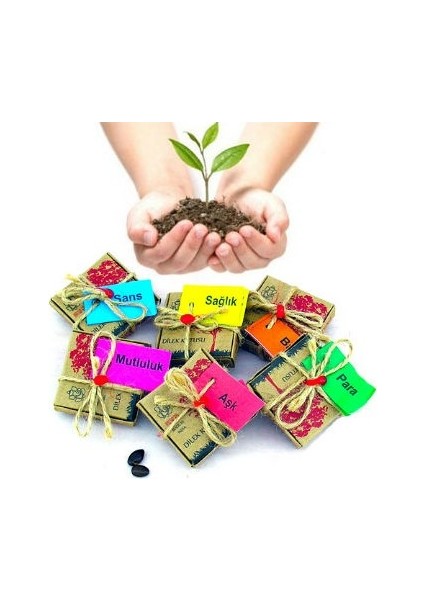 Dilek Tohumları - Sağlık fiyatları