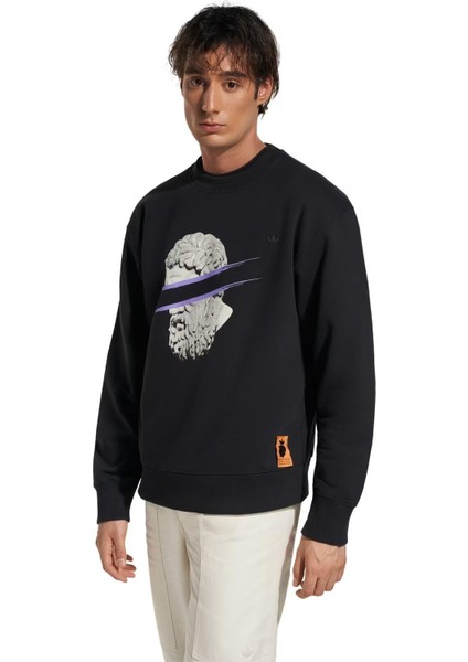 Emre Yusufi Erkek Sweatshirt fiyatları