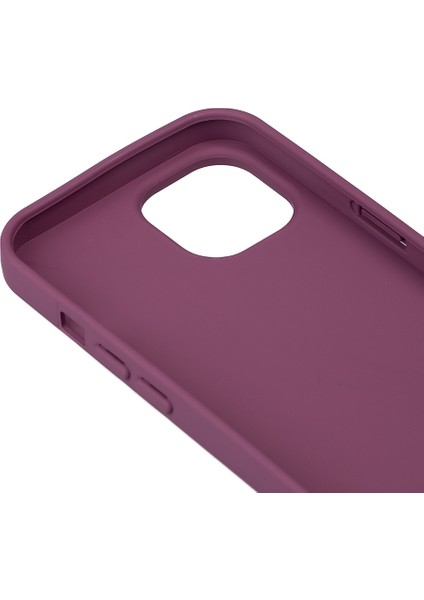 Apple iPhone 15 Plus Uyumlu Kılıf Zore Biye Silikon Kapak