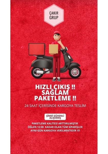 Fiesta Yazısı ve Ghia Arması 2 Adet