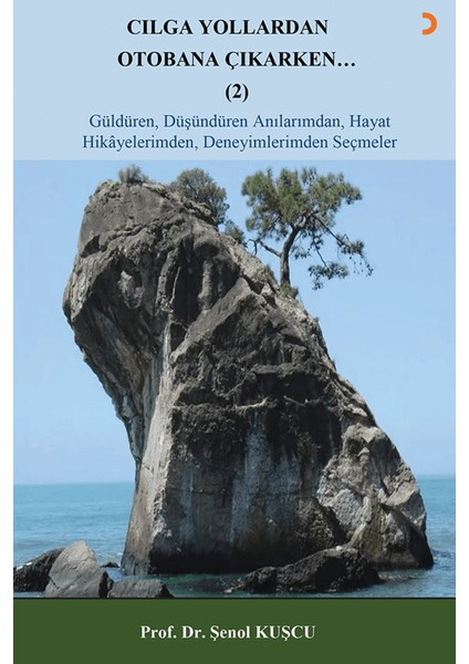 Cılga Yollardan Otobana Çıkarken 2 - Şenol Kuşcu