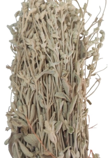Balbaşı Otu 25 gr