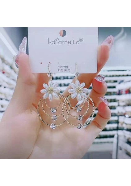 Hengshan Üst Düzey ve Atmosferik Internet Ünlü Mizaç Küpeleri Avrupa ve Amerikan Modası Abartılı Elmas Taklidi Uzun Püskül Küpeler (Yurt Dışından)