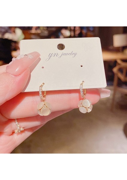 Hengshan Popüler 925 Gümüş Iğne Küpe Klasik Geometrik Uzun Püskül Küpe (Yurt Dışından)