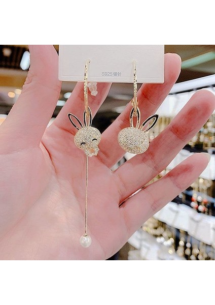 Hengshan Üst Düzey ve Atmosferik Internet Ünlü Mizaç Küpeleri Avrupa ve Amerikan Modası Abartılı Elmas Taklidi Uzun Püskül Küpeler (Yurt Dışından)