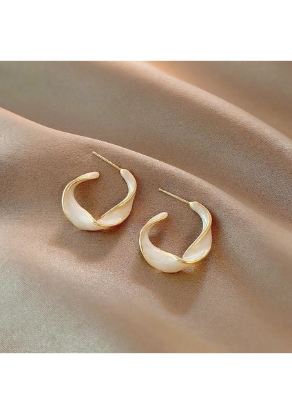 Hengshan Yeni Zarif Küpeler, Popüler Internet Ünlü Küpeleri, Üst Düzey Küpeler, Kişiselleştirilmiş Moda Küpeler (Yurt Dışından)