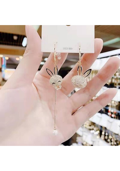 Hengshan Kadınlar Için Moda Mizaç Uzun Püskül Yaz Popüler Küpeler Süper Parlak Üst Düzey Hafif Lüks Küpeler (Yurt Dışından)