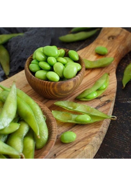 Ata Tohumları Geleneksel Soya Fasulye Tohumu(20 Tohum)