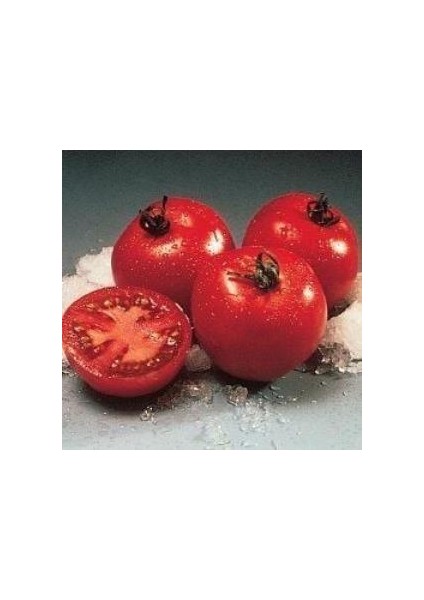 Doğal Floridade Domates Tohumu(20 Tohum)