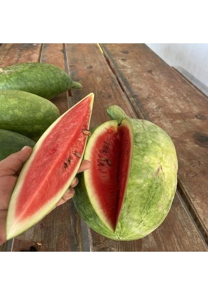 Ata Tohumları Geleneksel Toros Nadir Doğal Söbü Ampül Karpuz Tohumu (5 Tohum)