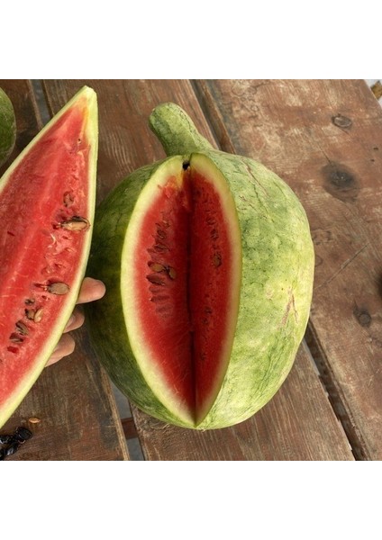 Ata Tohumları Geleneksel Toros Nadir Doğal Söbü Ampül Karpuz Tohumu (5 Tohum) fiyatları