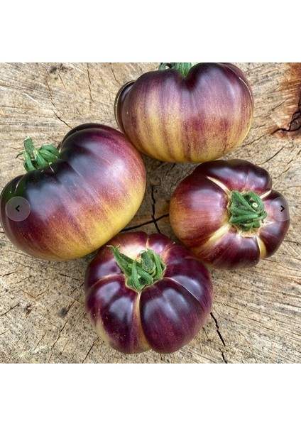 Mor Beyaz Great White Purple Domates Tohumu (15 Tohum)