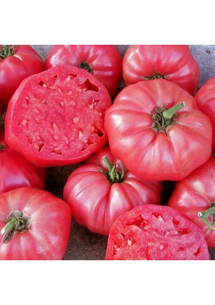 Ata Tohumları Kahvaltılık Sofralık Ege Pembesi Domatesi Tohumu (20 Tohum)