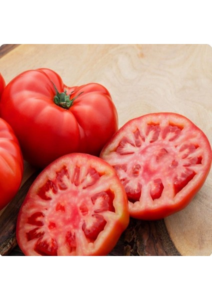 Iri Etli Akçaköy 22 F1 Köy Domatesi Tohumu(10 Tohum)