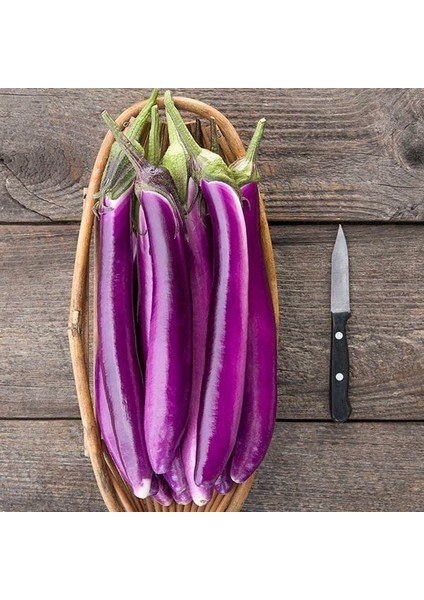 Ping Tung Uzun Patlıcan Tohumu (15 Tohum)