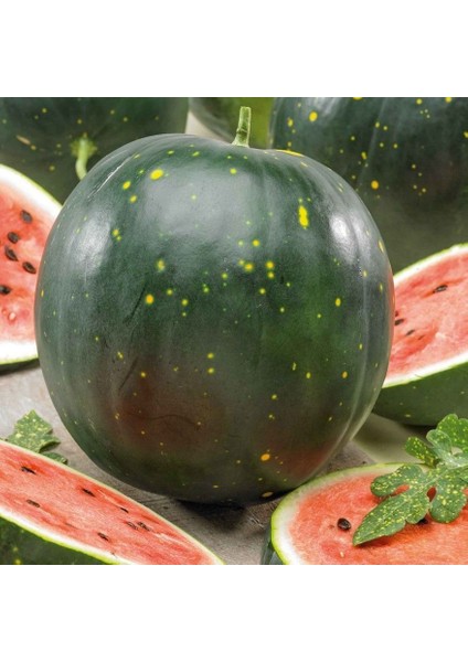 Geleneksel Tohumlar Moon Stars Benekli Karpuzu Tohumu(10 Tohum)