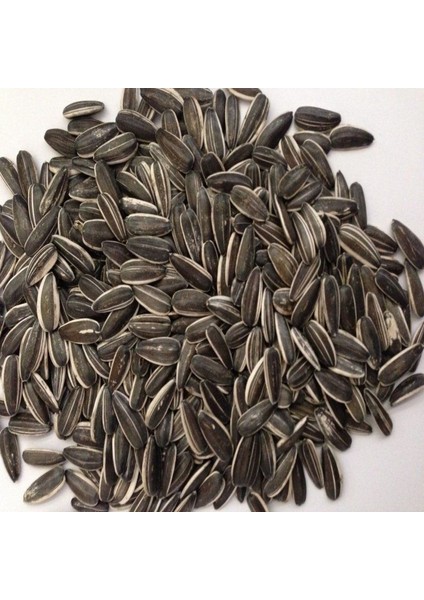 Doğal Siyah Çerezlik Çitlemelik Ayçiçeği Çekirdek Tohumu (1 Kg)