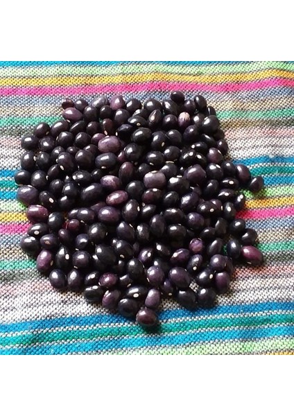 Geleneksel Ata Tohumları Poletschka Fasulye Tohumu (10 Tohum)