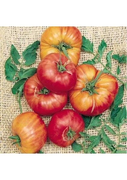 Doğal Old German Domates Tohumu(20 Adet)
