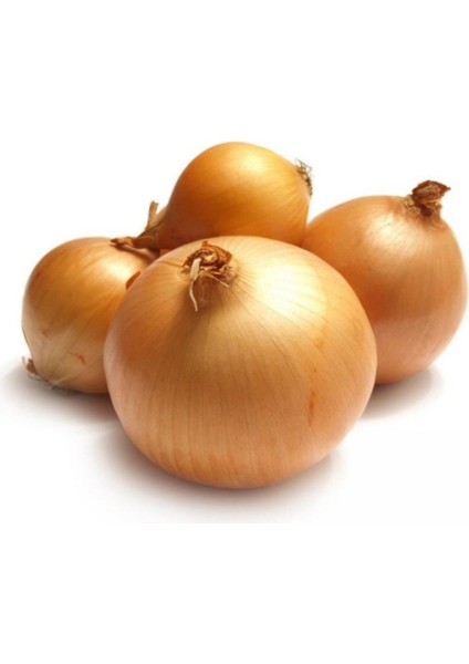 Geleneksel Ata Tohumları Bankon Soğan Tohumu(50 Tohum)